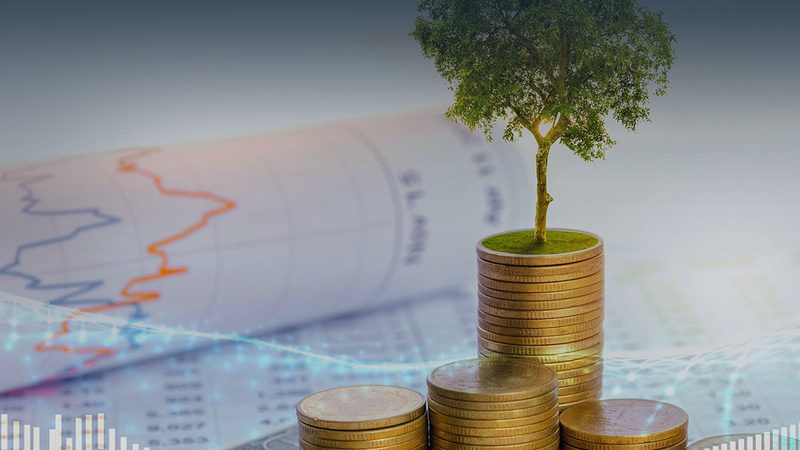 战略咨询公司加盟条件